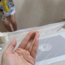 대가횟집 이미지