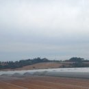 부자농장3 이미지