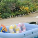 친절한 순필씨 이미지