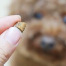 아이디얼푸드 이미지