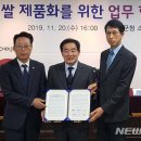 진천쌀