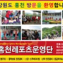 국가대표태권스쿨 이미지