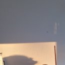 레브음악학원 이미지