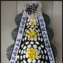 국가대표꽃배달엔플라워 이미지