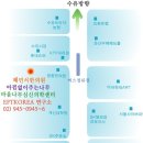 제7회 교사를 위한 에니어그램 & NLP & EFT & 호오포노포노 자율연수 (1/11- 1/15, 서울) 이미지
