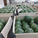 (주)농협하나로유통 하나로마트 이미지