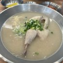 창원 진해 닭칼국수 자은동 맛집 언양 닭칼국수 진해 자은점