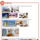 신신여행사