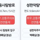 제주도 한라산 등산 전면통제되서 잠만 자고온 그린게스트하우스 후기