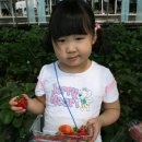 빛초롱어린이집 이미지