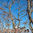 도마령(영) 이미지