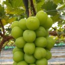 청학농장 이미지