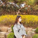 살롱드 데꼬레 | [월성동/상인동/대구] 달서구 미용실 “살롱드리썸” 퍼플브라운 염색