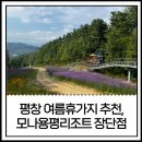 뉴용평관광(주) | 국내 여행지 추천 평창 모나용평리조트 :: 장단점, 숙박패키지 비교, 가족여행 예약팁