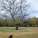 토우치과의원 이미지