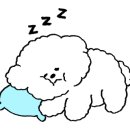 다원보쌈칼국수 이미지