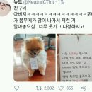 공감