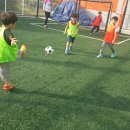 자이언트스포츠클럽 이미지