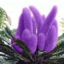 거진해안길 이미지