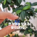 전주보청기 세계보청기 잘 안 보이는 보청기 찾으시나요? 이미지