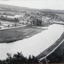 회춘당약국 이미지