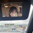 청산피엠 | [안면도여행] 안면도 아일랜드 리솜 리조트/낙지한마리칼국수/청산수목원/딴뚝통나무집식당/게국지