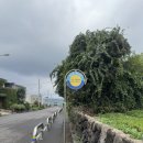 세진하나로마트 이미지