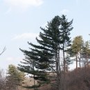 오르다온펜션 | 양평 볼거리 겨울찾아 떠나는 양평데이트 오르다온