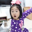 보람유통 이데일리