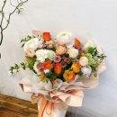 디자인새늘 이미지