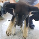 예강1길-1 이미지