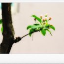 하나여인숙 이미지