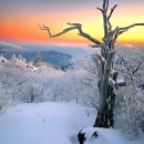 이수산 이미지