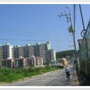 장산영농조합 | 일광산(385m)-갈치고개-쌍다리재-수령산(368m)