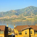 영후농장 이미지