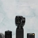 포할리데이 이미지