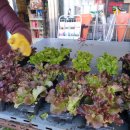 신흥종묘사 이미지