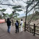 국선도 | 국선도 제주 상반기 워크샵 후기, 경산치유의 숲