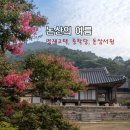 8월10일 法古創新 논산 three 선비의 고택 화려한 여름 인생사진, 여기서 찍자&#34;.. 이미지