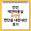 멍분의 멍 | [안산 애견미용] 애견미용실 "포캣멍" 찐단골의 내돈내산 후기