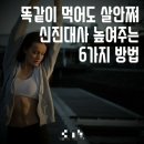 노리점핑다이어트
