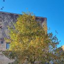 카셀하우스 | 덴마크 [Odense 오덴세] 안데르센 생가, 안데르센 박물관 방문 후기 (아이와 갈만한 곳)