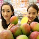 애플망고 이미지