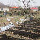 백마농장 이미지