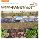 탄천면사무소 네이버블로그