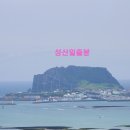 지미돈 이미지