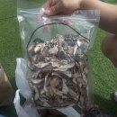 새울길영농조합법인 이미지