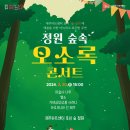 정원숲속 오소록콘서트2 이미지