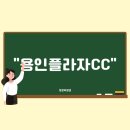 한화호텔앤드리조트(주)용인 이미지