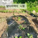 오뚜기 농장 이미지